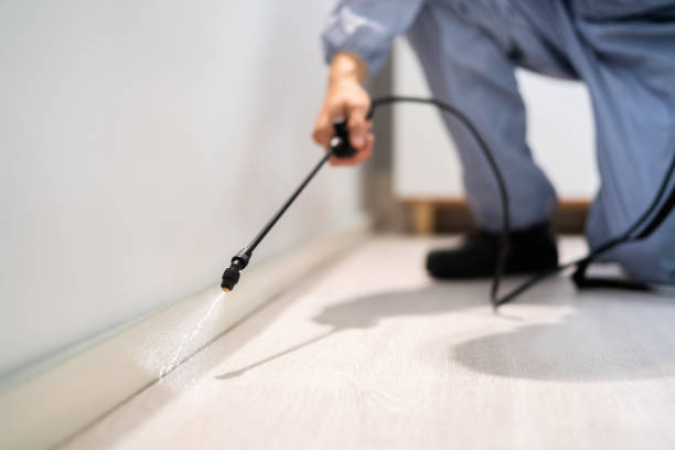 Best Wildlife Control Services  in Mount Airy, GA