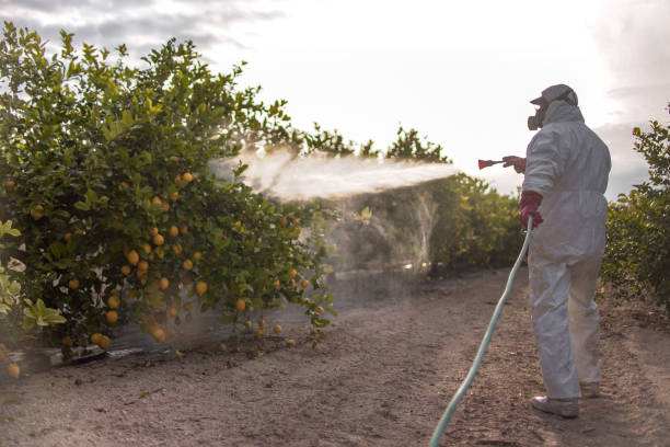 Best Best Pest Control Near Me  in Mount Airy, GA