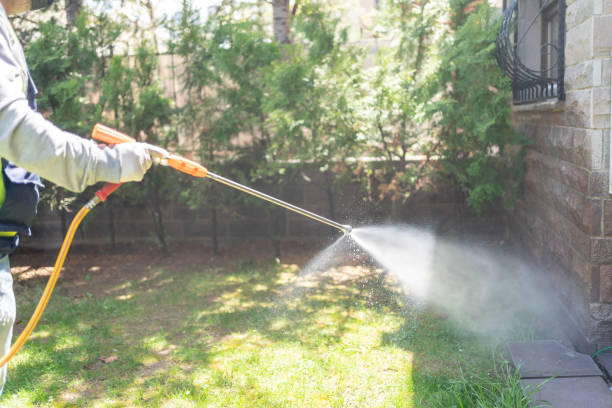 Best Pest Inspection Near Me  in Mount Airy, GA