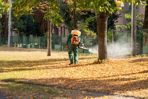 Best Affordable Pest Control Services  in Mount Airy, GA