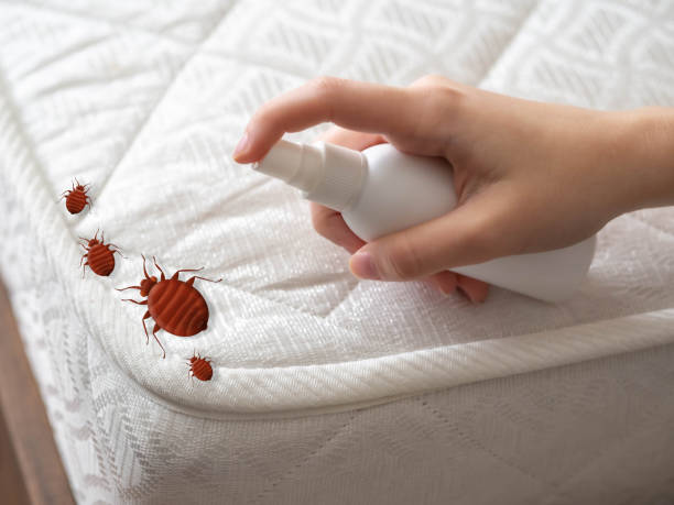Best Pest Control Near Me  in Mount Airy, GA