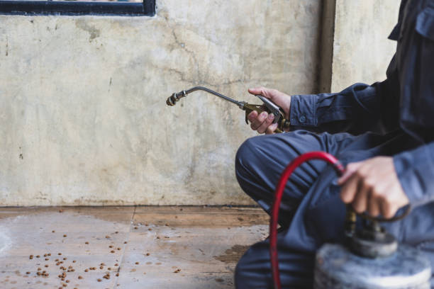 Best Commercial Pest Control Services  in Mount Airy, GA